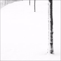 Snowscene 6