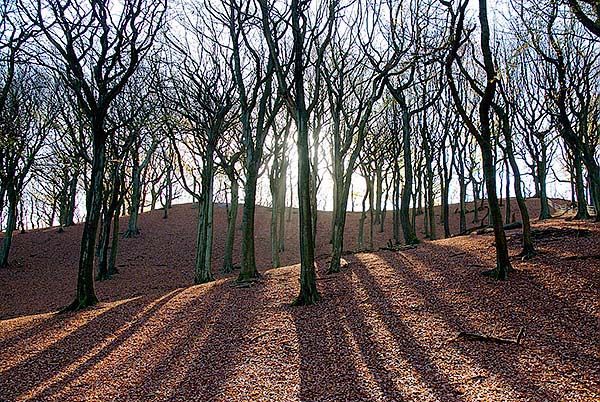 Tandle Hill Country Park