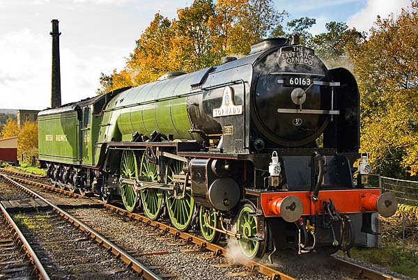 Tornado Peppercorn A1