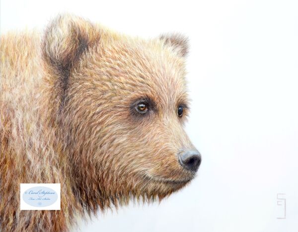 Bear eyes, Wild Soul