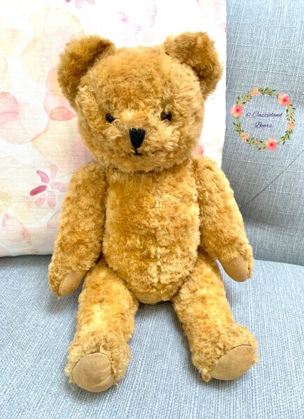 What a sweet bundle of fluff!