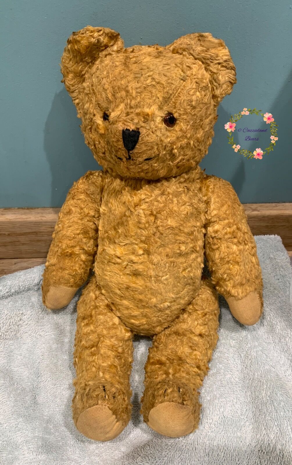 This Eastern European Bear is here for a thorough Clean