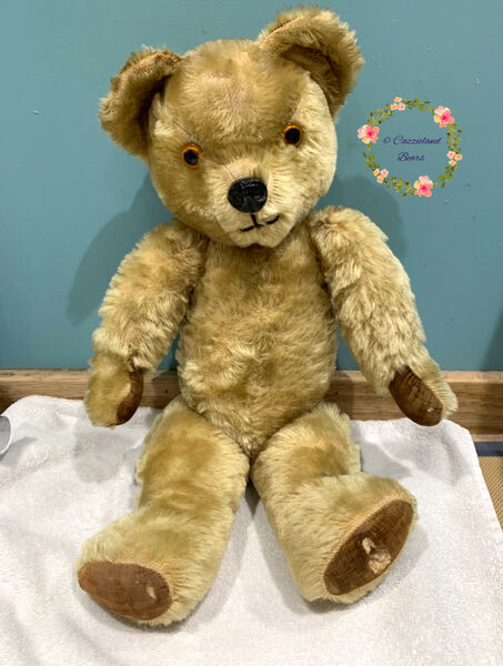 Growly bear arrives for restoration...