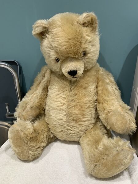 This Gorgeous Hamiro bear is here for some tlc and a through clean.