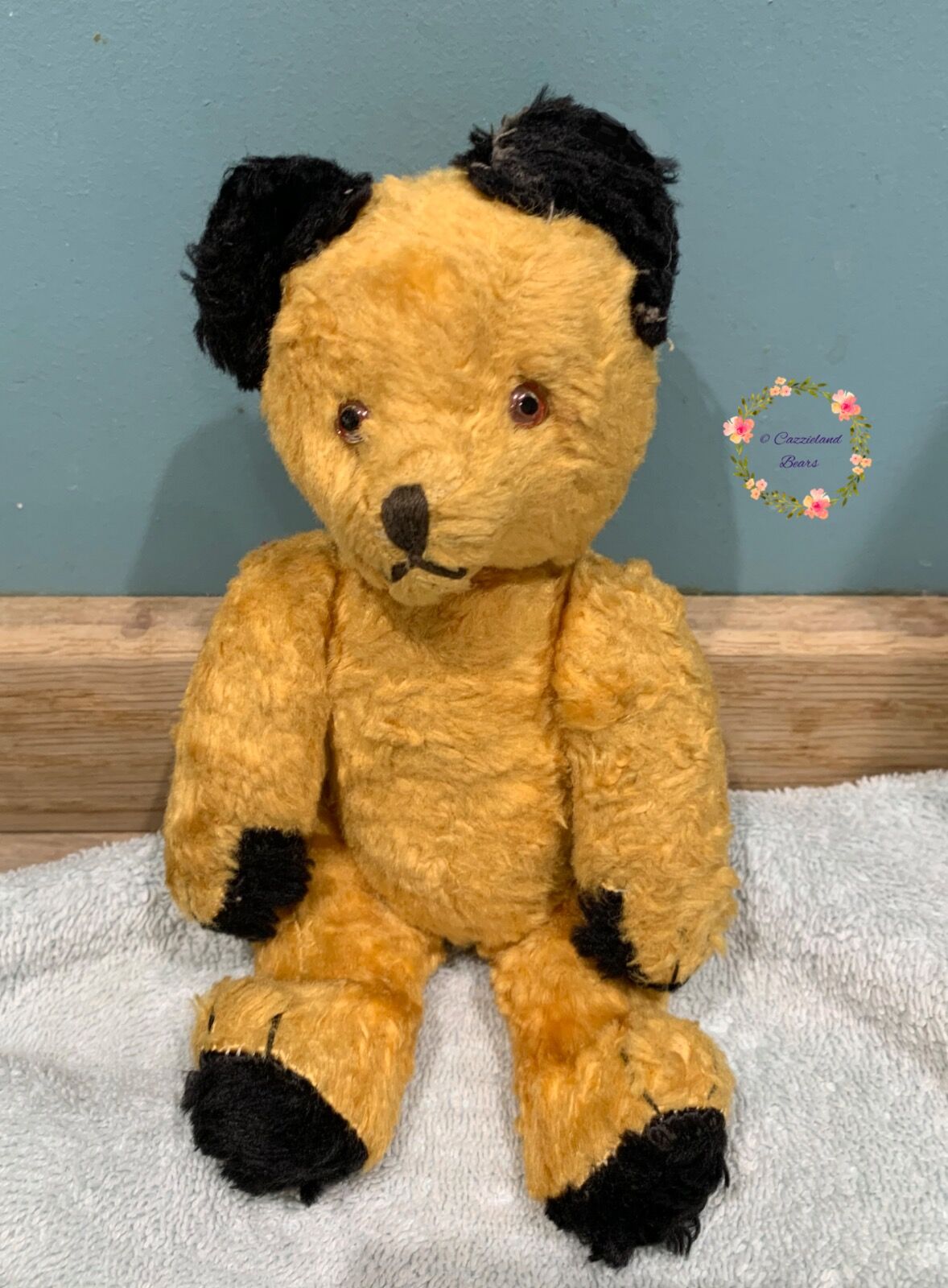 Sweet Sooty bear needing a clean...