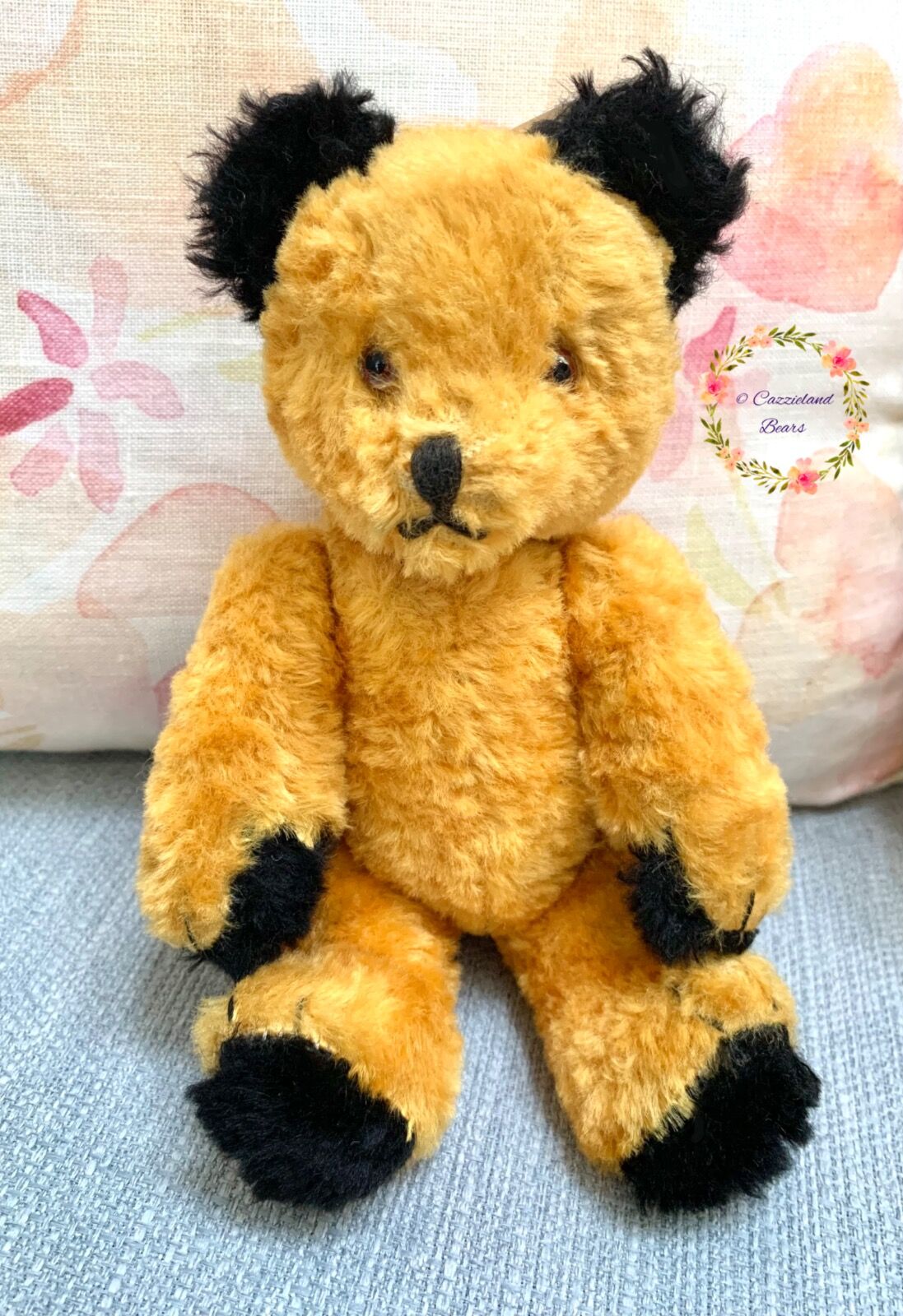 Sooty bear has been revived...