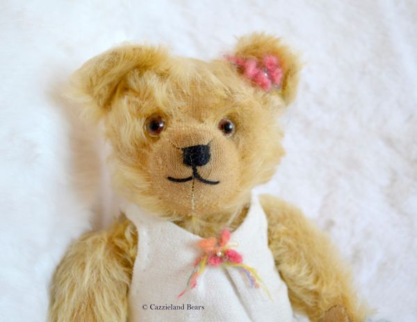 Pippa has now been adopted