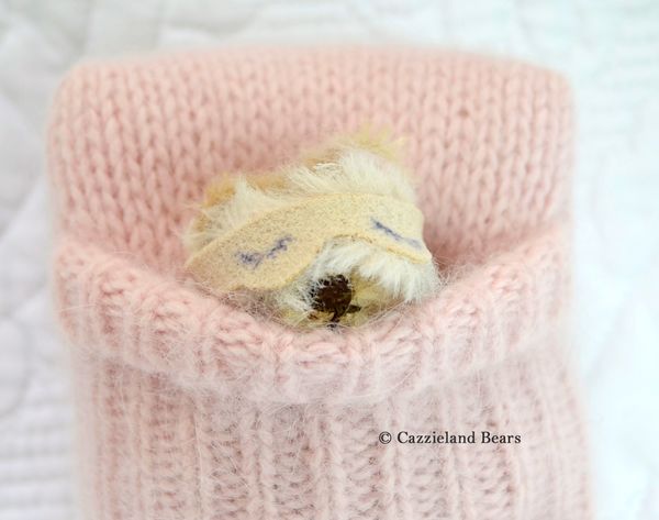 Fifi has now been adopted