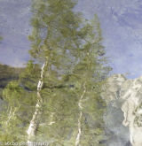 Impressions of Yosemite