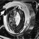 Harley Rocker - Joint 1st pdi (Reflections) Roger Ellison