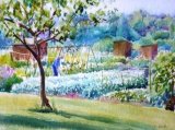 Allotments