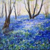 Bluebells