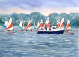 School Regatta 2013 (Ink and Watercolour)