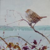 Wren, Winter Sailing