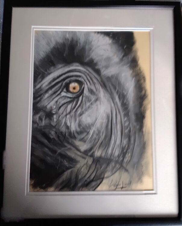 Elephants eye £50