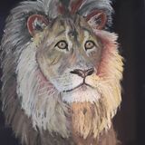 Don't mess with me £40