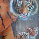 tiger and cubs £65