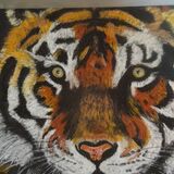Tigers face  £15 unframed