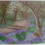Bluebell Woods £50