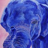 Blue Elephant £45
