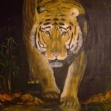 Tiger prowling £130