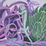 Spanish Chameleon £100