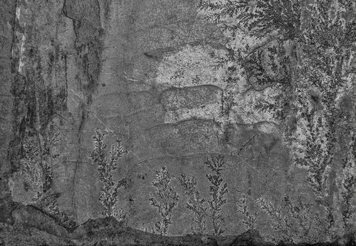 Dendrites on Slate