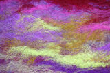 Fibres up close