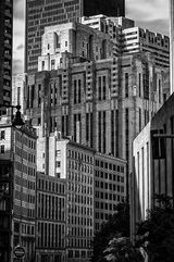 Ever Upwards in Boston's Concrete Junge