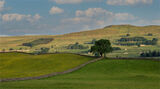 Evening sun in Wensleydale