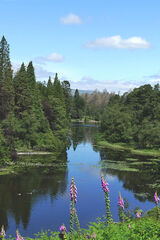 Lake District Tarn