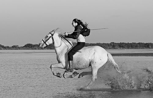 Bareback Camargue Guardian