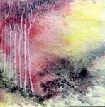 Silent Grove of Pines