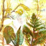 Spring is on its Way II