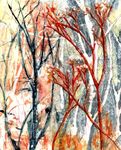 Winter Scrubland II