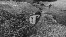 film still