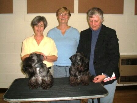 2006 Limited Pups