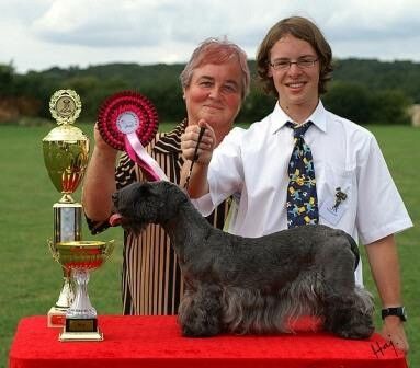2006 Open BIS