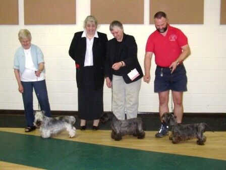 2007 Limited show