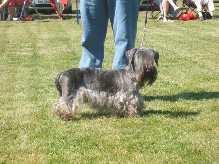 2007 Open ND