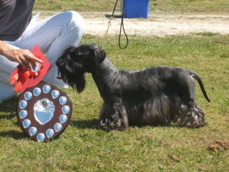2007 Open OD