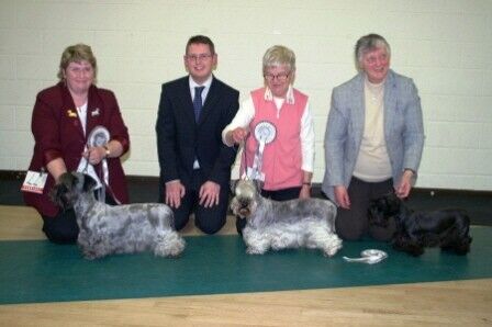 2008 Limited show