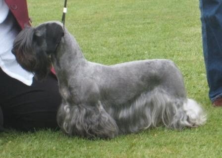 2008 Open OB