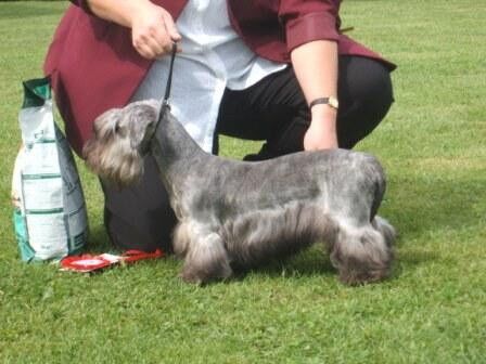 2008 Open PD