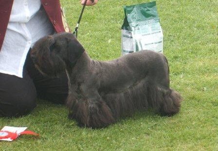 2008 Open PGB