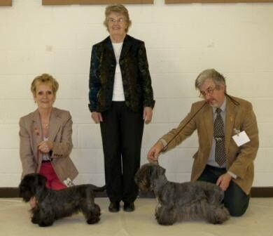 2009 Limited Show