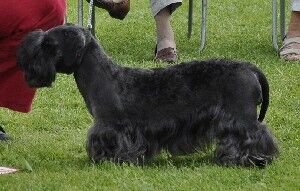 2009 Open LB
