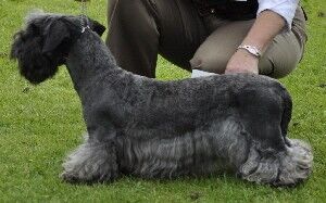 2009 Open LD