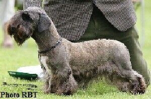 2009 Open NB