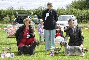2009 Open Show winners